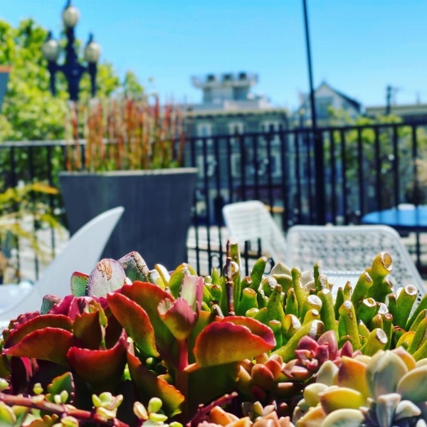 Beck's Motor Lodge Main image